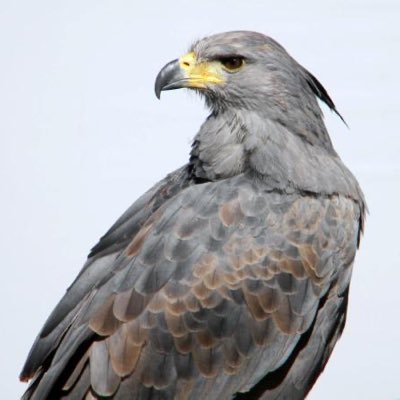 ArmasMundiales's profile picture. Tecnología Espacial. Armas militares, policiales y civiles | Info: conflictos bélicos• #info𝕏 sin censura | Mail: armasmundialesarg@gmail.com | #Arg🇦🇷