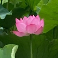佐藤香織(SATO, Kaori) (@kaorisa29986205) 's Twitter Profile Photo 佐藤香織(SATO, Kaori) (@kaorisa29986205) 's Twitter Profile Photo