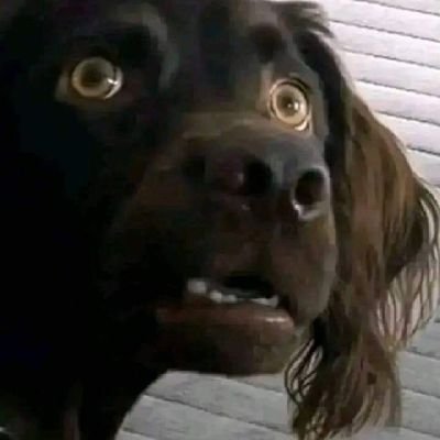 anigavretae2's profile picture. K5YYWBMK