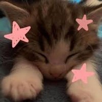 Nyx (@nyx_mint) 's Twitter Profile
