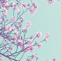 さく76 (@yunewka) 's Twitter Profile