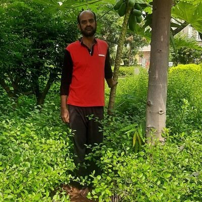 mohdsiddiqali6's profile picture. 