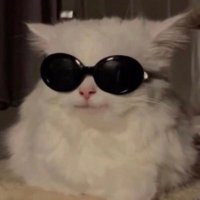 f 🤍 (@ffarmsryp) 's Twitter Profile Photo