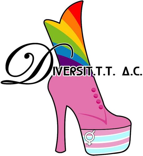 Organizacion  sin fines de lucro para la comunidad Travesti, Transgénero y Transexual y las personas viviendo con vih/sida