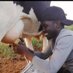 HON. 🐄 (@athe7th) Twitter profile photo HON. 🐄 (@athe7th) Twitter profile photo