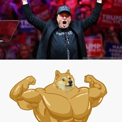 beida985's profile picture. 2025 A9 = 10*100*1500*10*7.3 Airdrop famer and token holderReddio Gnoma Anoma (🧙‍♂️,🧙‍♂️)