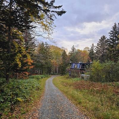 cutiesfruity's profile picture. 