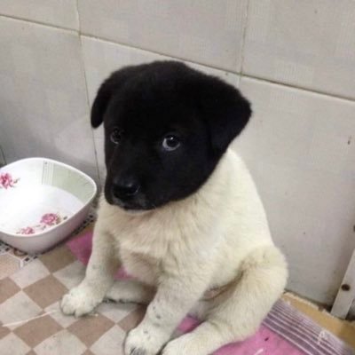 sacd_0's profile picture. 