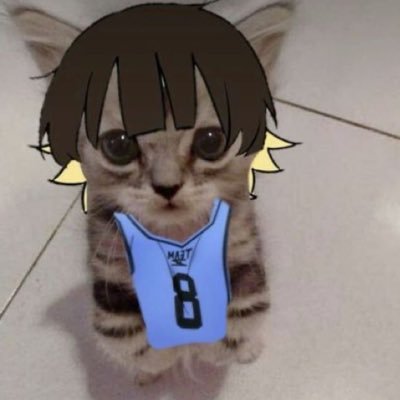 raaize9's profile picture. cats, anime. 🤧 20 . very blunt