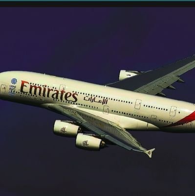 AlfonsotvR59348's profile picture. 
