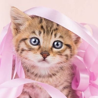 Lumia678's profile picture. Hey There Lovely People
You know i love crypto and projects and events.
one day i will make 1 BTC. InsaAllah 
pray for me