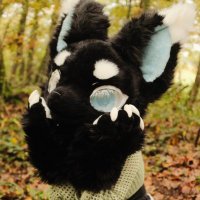 🍃🌻 Illussia 🌻🍃 (@illussiaa) Twitter profile photo