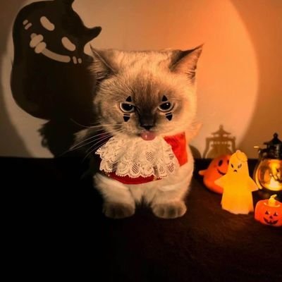 ROBLOXISDOWN_Y's profile picture. WTF ROBLOX