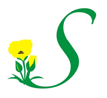 SaulLandscaping's profile picture. Where Quality Grows - Saul Torres Landscaping Have been in business since 1999 and giving the best customer service and Landscape project.