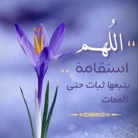 سلسبيل🪻 (@seboo24) 's Twitter Profile