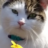 The Adventures of Lavender (@farrightthugs) 's Twitter Profile Photo The Adventures of Lavender (@farrightthugs) 's Twitter Profile Photo