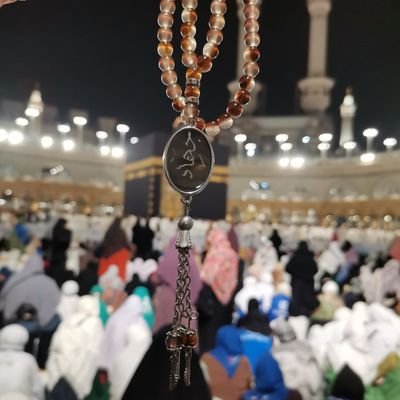 tchr_gehadh's profile picture. Graduated from faculty of education department of biology