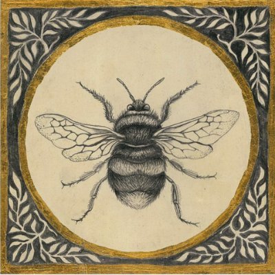 boedicca's profile picture. mostly original substrate human