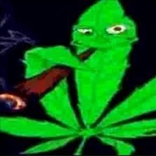 meow_esme's profile picture. normal