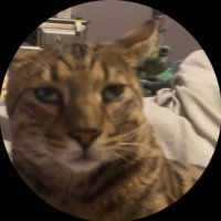 k1 locks ☢️ (@k1dfs) 's Twitter Profile Photo k1 locks ☢️ (@k1dfs) 's Twitter Profile Photo