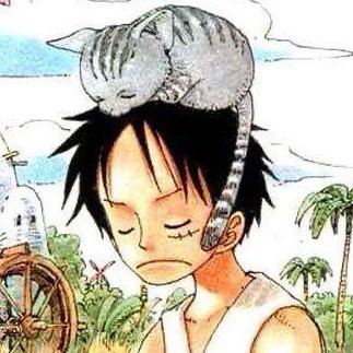 R a f aさんのプロフィール画像
