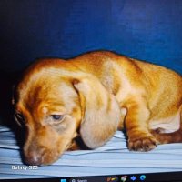 Virginia@blue.pwc (@bluepwc2022) 's Twitter Profile Photo Virginia@blue.pwc (@bluepwc2022) 's Twitter Profile Photo