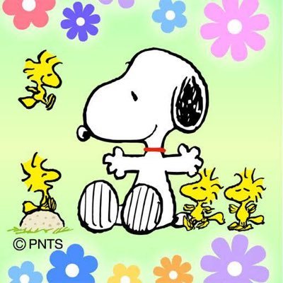 kLw2C5xC4eTdenS's profile picture. 熟女風俗穣です。 ゆるくと働いていて怠け者です。でも借金あるから頑張らないといけないですけどね。ほぼ言いたい放題の愚痴をこぼしてます。