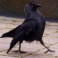 Ven | Helden 🧮🧐 Neither ceasing, nor desisting⚡️ (@gethenian) 's Twitter Profile