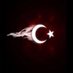 Orhun Ayhan (@orhunayhann) Twitter profile photo Orhun Ayhan (@orhunayhann) Twitter profile photo