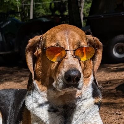 CJDownz's profile picture. Seeker of inconvenient truths and difficult conversations, with a penchant for geopolitics 🌐 Free speech advocate 🗣️ Not a fan of communism or socialism 🚫