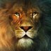 British Republican 🟦⬜️🟩 (@lion_britain) Twitter profile photo British Republican 🟦⬜️🟩 (@lion_britain) Twitter profile photo