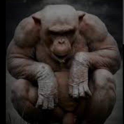 ricoypoderoso1's profile picture. Cuantificador de lo irracional.
Finanzas patafísicas.