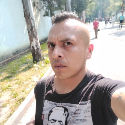 aqui_alberstein's profile picture. 