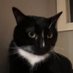 morgi (@realstinkers) Twitter profile photo morgi (@realstinkers) Twitter profile photo