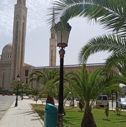 abdel_mdo's profile picture. Algeria