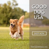 Good Dog USA (@gooddogusaco) 's Twitter Profile