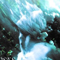 Curses (@curseswv) 's Twitter Profile