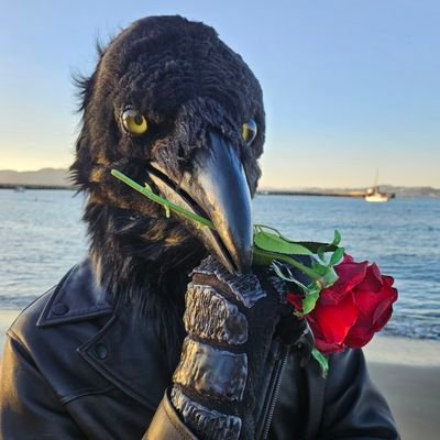 27 year old Raven living like Larry. Post usually once a week for #FursuitFriday
| Fursuit by @crystumes |
18+A/D account: @Razar115