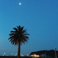 qpqp (@qpqq_cola) 's Twitter Profile