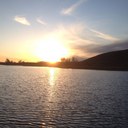 Chris benter - @azbengal - Twitter