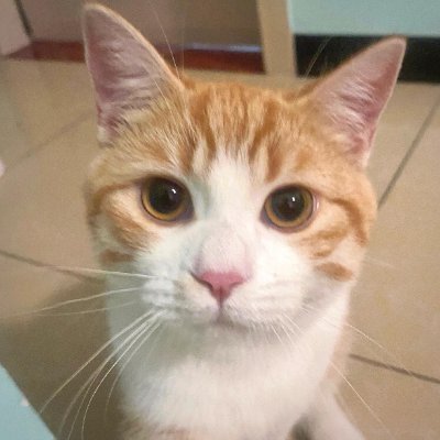 sgsgshjaa's profile picture. 旅を通して自分のペースを取り戻す。アメリカ、フィンランド、フランスが大好きです🪶
無言フォロー、すみません🙏