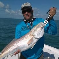 Tim Ramsey (@timram1) 's Twitter Profile