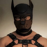 PUP_Tazer (@pup_tazer) 's Twitter Profile Photo