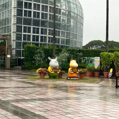 ichinose_tech's profile picture. 東京科学大学21B → 中高理科