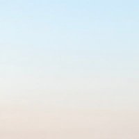 ary (@arythimm) 's Twitter Profile