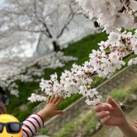 りー☺︎ 6y👦🏻+1y (R5.2)👶 (@rii2boysmama) 's Twitter Profile