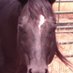 Texas Hill Country (@nomercy2024txba) Twitter profile photo Texas Hill Country (@nomercy2024txba) Twitter profile photo