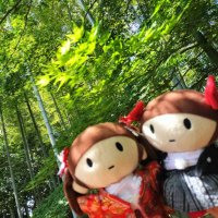 那緒(なお)♊ (@nao_yukarin) 's Twitter Profile