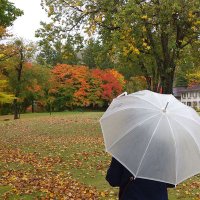 shino✨👑🦅 (@boxbmsgshino) 's Twitter Profile