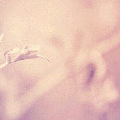 woanqu's profile picture. 你的我的